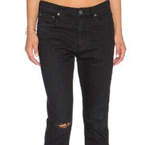 Agolde Denise Slim Boyfriend in Belfast, Distressed, Size 26